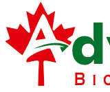 Client logo 26