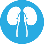 Nephrology & Transplant