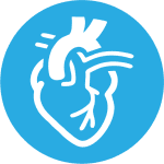 Cardiovascular