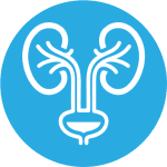 Urology